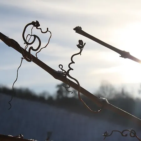 Schwarzer Adler - Garni