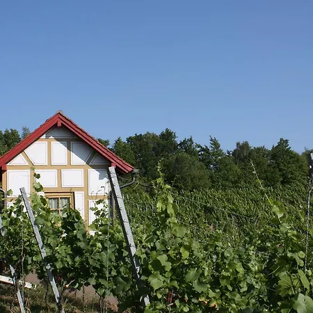 Schwarzer Adler - Garni Отель