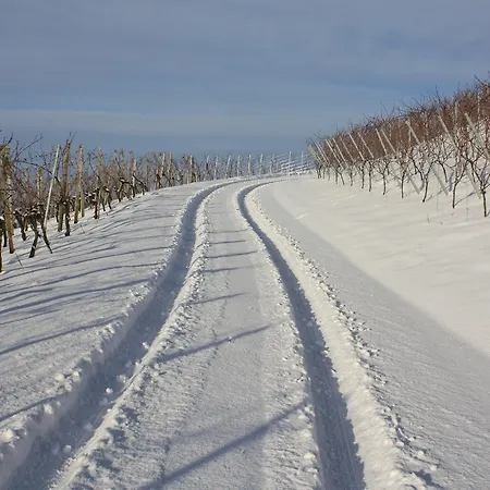 Schwarzer Adler - Garni Отель