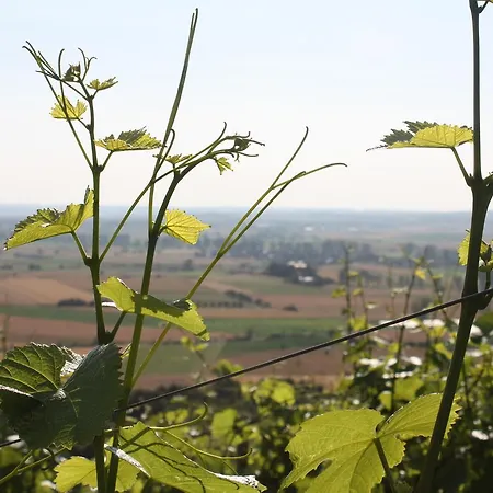 Отель Schwarzer Adler - Garni Ipsheim