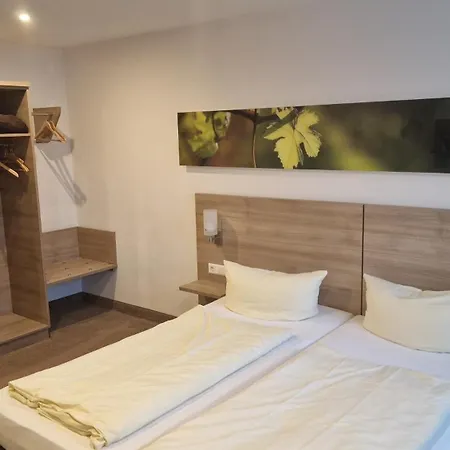 فندق Schwarzer Adler - Garni 3*