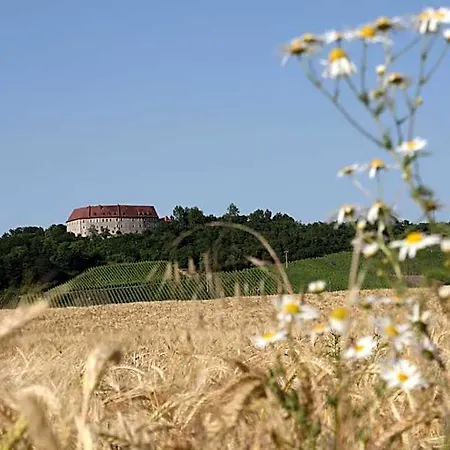 Schwarzer Adler - Garni فندق Ipsheim