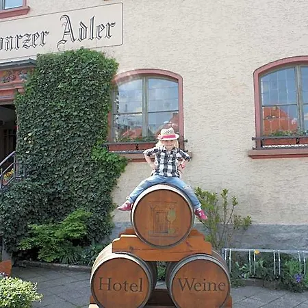 فندق Schwarzer Adler - Garni 3*