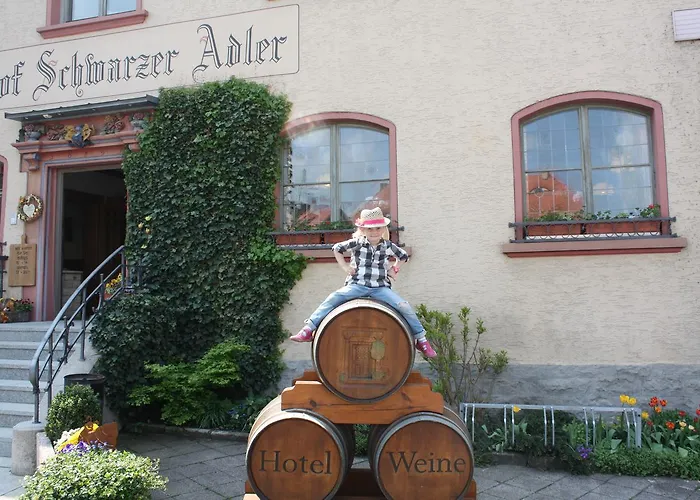 Schwarzer Adler - Garni 3* Ipsheim