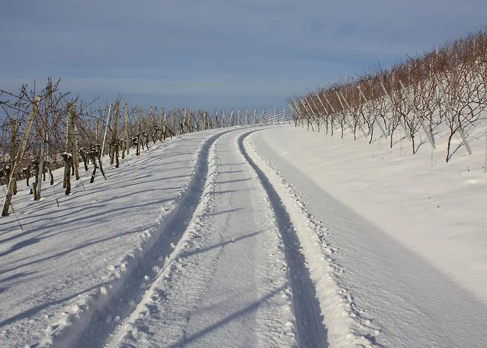Schwarzer Adler - Garni 호텔