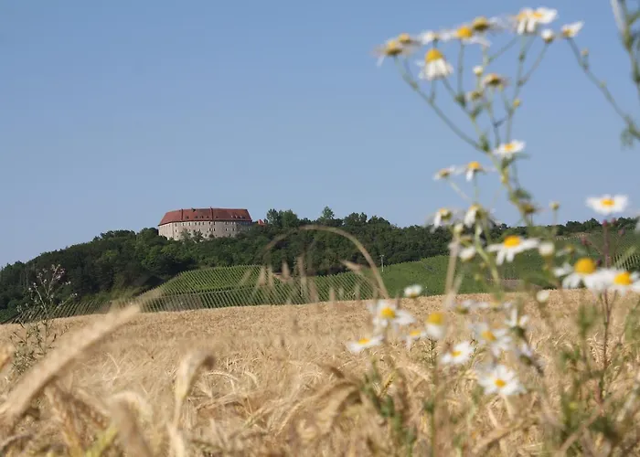 호텔 Schwarzer Adler - Garni 3*